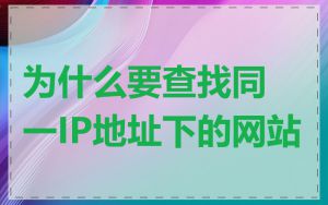 为什么要查找同一IP地址下的网站