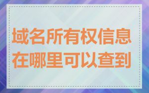 域名所有权信息在哪里可以查到