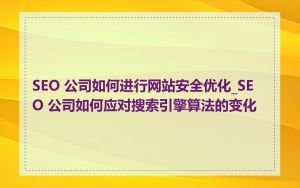 SEO 公司如何进行网站安全优化_SEO 公司如何应对搜索引擎算法的变化