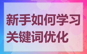 新手如何学习关键词优化