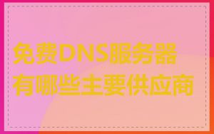 免费DNS服务器有哪些主要供应商