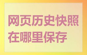 网页历史快照在哪里保存