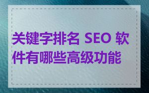 关键字排名 SEO 软件有哪些高级功能