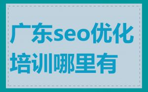 广东seo优化培训哪里有