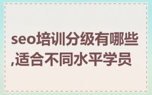 seo培训分级有哪些,适合不同水平学员