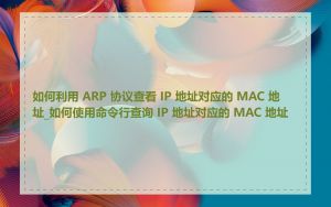 如何利用 ARP 协议查看 IP 地址对应的 MAC 地址_如何使用命令行查询 IP 地址对应的 MAC 地址