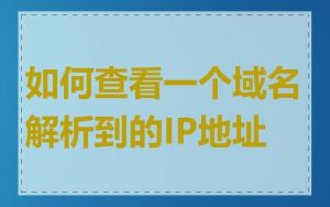 如何查看一个域名解析到的IP地址