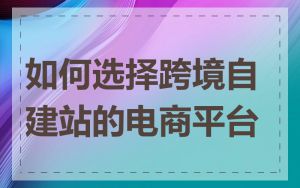 如何选择跨境自建站的电商平台