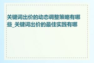 关键词出价的动态调整策略有哪些_关键词出价的最佳实践有哪些