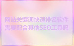 网站关键词快速排名软件需要配合其他SEO工具吗