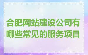 合肥网站建设公司有哪些常见的服务项目