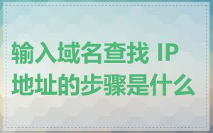 输入域名查找 IP 地址的步骤是什么