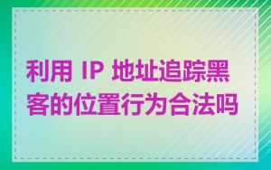 利用 IP 地址追踪黑客的位置行为合法吗