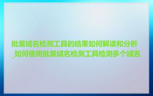 批量域名检测工具的结果如何解读和分析_如何使用批量域名检测工具检测多个域名