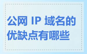 公网 IP 域名的优缺点有哪些