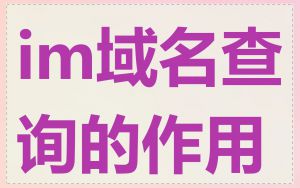 im域名查询的作用