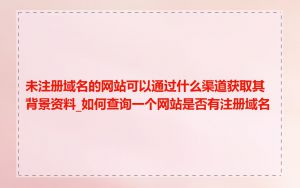 未注册域名的网站可以通过什么渠道获取其背景资料_如何查询一个网站是否有注册域名