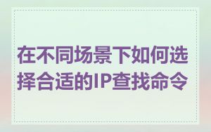 在不同场景下如何选择合适的IP查找命令
