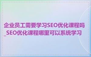 企业员工需要学习SEO优化课程吗_SEO优化课程哪里可以系统学习