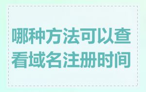 哪种方法可以查看域名注册时间