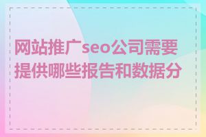 网站推广seo公司需要提供哪些报告和数据分析