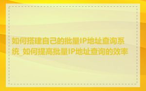 如何搭建自己的批量IP地址查询系统_如何提高批量IP地址查询的效率