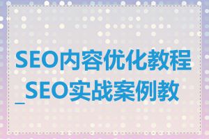 SEO内容优化教程_SEO实战案例教程