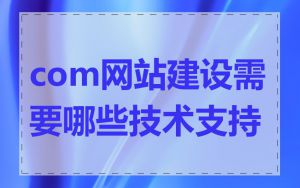 com网站建设需要哪些技术支持