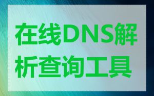 在线DNS解析查询工具