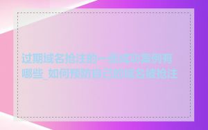 过期域名抢注的一些成功案例有哪些_如何预防自己的域名被抢注
