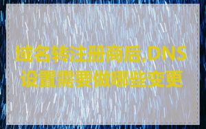 域名转注册商后,DNS 设置需要做哪些变更
