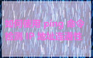 如何使用 ping 命令检测 IP 地址连通性