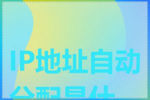 IP地址自动分配是什么