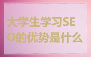 大学生学习SEO的优势是什么