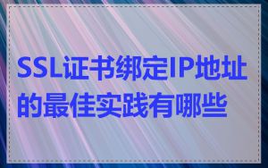 SSL证书绑定IP地址的最佳实践有哪些