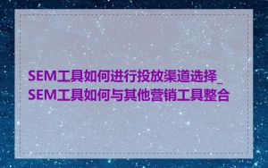 SEM工具如何进行投放渠道选择_SEM工具如何与其他营销工具整合