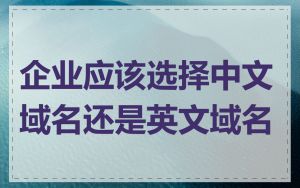 企业应该选择中文域名还是英文域名