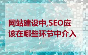 网站建设中,SEO应该在哪些环节中介入