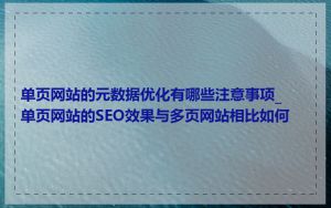单页网站的元数据优化有哪些注意事项_单页网站的SEO效果与多页网站相比如何