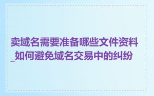 卖域名需要准备哪些文件资料_如何避免域名交易中的纠纷
