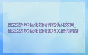 独立站SEO优化如何评估优化效果_独立站SEO优化如何进行关键词策略
