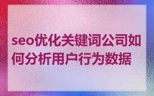 seo优化关键词公司如何分析用户行为数据