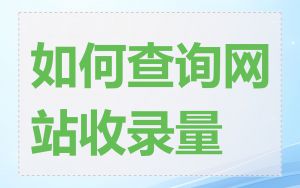 如何查询网站收录量