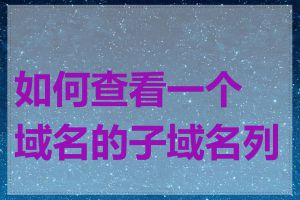 如何查看一个域名的子域名列表