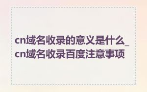cn域名收录的意义是什么_cn域名收录百度注意事项