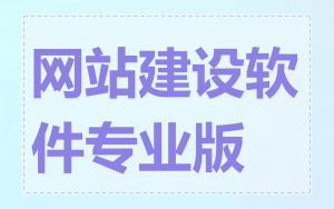 网站建设软件专业版