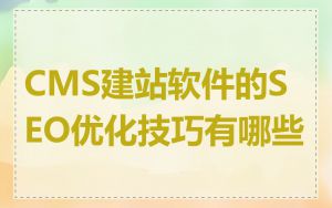 CMS建站软件的SEO优化技巧有哪些