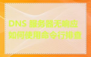 DNS 服务器无响应如何使用命令行排查