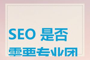SEO 是否需要专业团队