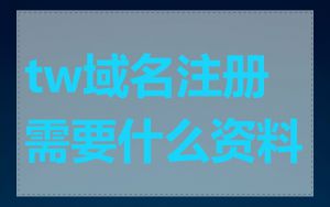 tw域名注册需要什么资料